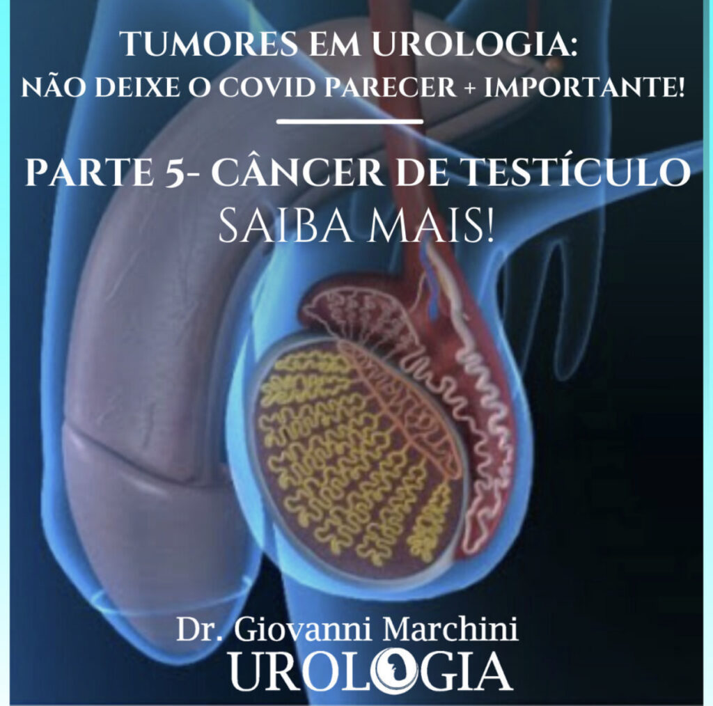 Doença Do Saco Escrotal - NAZAEDU