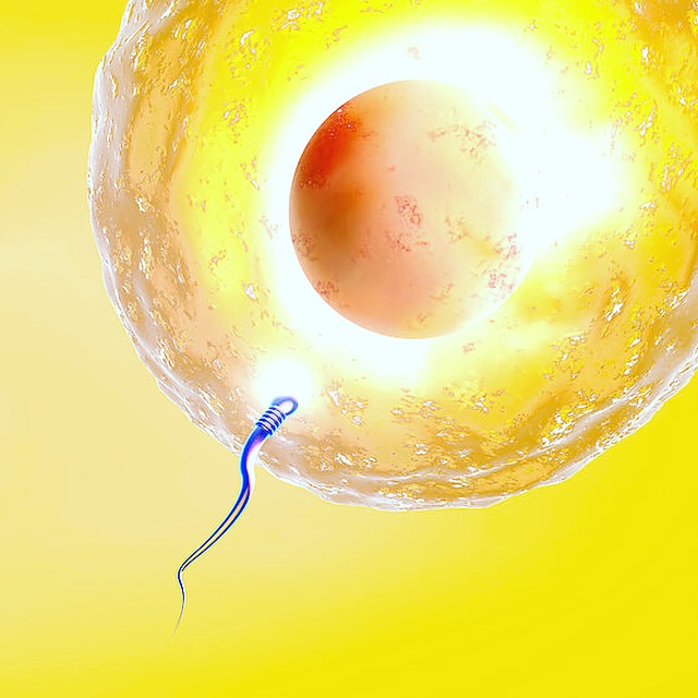 infertilidade-e-a-importância-do-urologista
