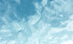cropped samuel scrimshaw ebbFZvavGy4 unsplash