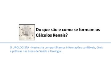 Como se formam os Cálculos Renais?